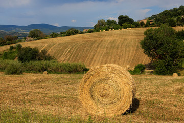 Orvieto (TR), Italy - May 10, 2016: View of Orvieto country landscape, Terni, Umbria, Italy