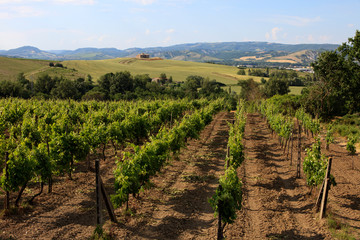 Orvieto (TR), Italy - May 10, 2016: View of Orvieto country, Terni, Umbria, Italy