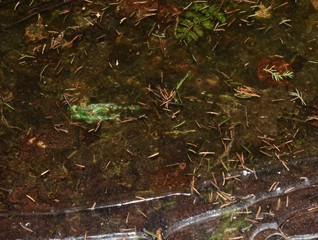 abstraction, frozen water