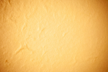 Yellow Mulberry paper background.