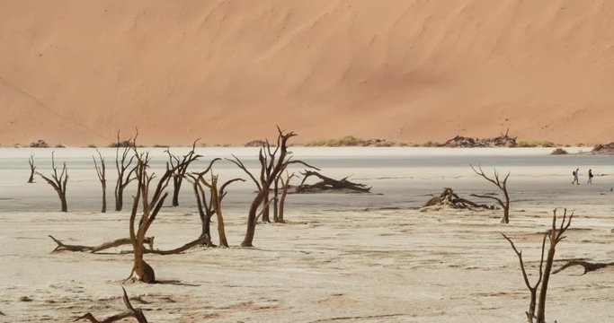 Couple of tourists is walking in the background of dead trees in Deadvlei, Namib desert, 4k