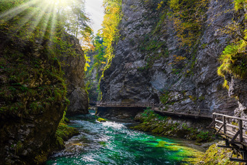 Sun illuminates the mountain river