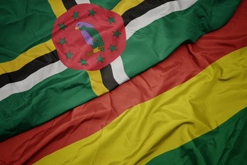 waving colorful flag of bolivia and national flag of dominica.