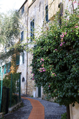 Fototapeta na wymiar Cervo (IM), Italy - December 30, 2017: A tipycal road and houses in Cervo village, Italian Riviera, Imperia, Liguria, Italy