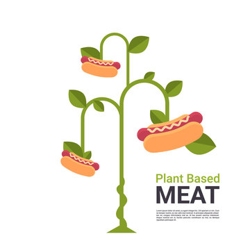 Plant Based Vegetarian Hot Dog Tree Beyond Meat Organic Natural Vegan Eco Food Concept Copy Space Vector Illustration