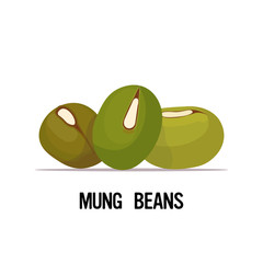 mung beans organic healthy vegetarian food on white background vector illustration