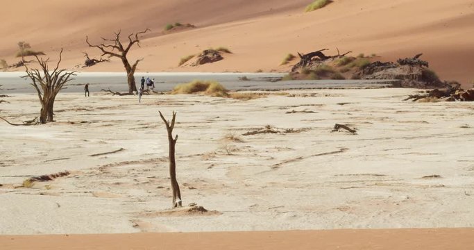 Tourists are walking around in the beautiful Deadvlei in Namib desert, white sand, 4k
