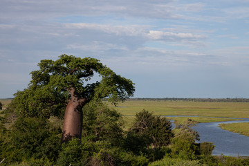 view from Botswana on Chobe national Park Namibia, Caprivi