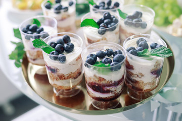 Closed up super food desserts with blueberry and mint
