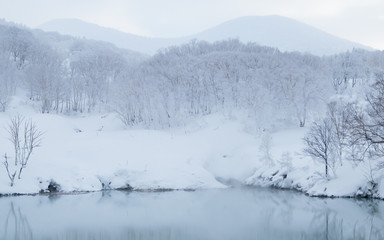 冬の沼