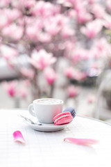Fototapeta na wymiar Spring cafe and cup of coffee in pink magnolia flowers. Still life with macaroons and petals on white table outside in blooming garden. Concept of morning breakfast, tenderness, sweets, food, drinks.
