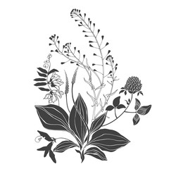 A bouquet of wild flowers. Summer floral composition. Black and white vector illustration. Isolated element for design on white. Silhouette.