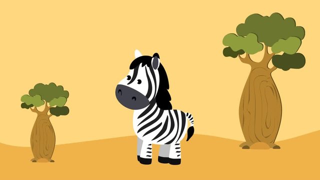 Cartoon zebra flat animation video