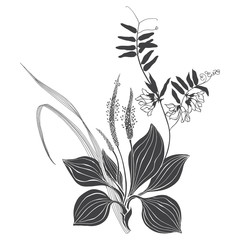 Wildflowers and herbs, floral arrangement. Black and white vector illustration. Isolated element for design on white. Silhouette.