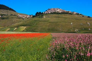 Norcia (PG), Italy - May 25, 2015: Castelluccio di Norcia village, Highland of Castelluccio di...