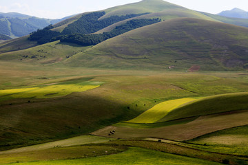 Norcia (PG), Italy - May 25, 2015: The famous spring flowering in the fields around Castelluccio di...