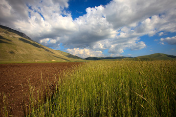 Norcia (PG), Italy - May 25, 2015: The fields around Castelluccio di Norcia, Highland of Castelluccio di Norcia, Norcia, Umbria, Italy, Europe