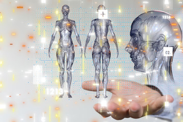 medical network connection with modern virtual screen interface