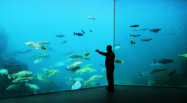 A man take a photo in oceanarium.