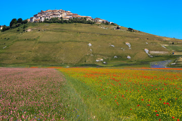 Norcia (PG), Italy - May 25, 2015: Castelluccio di Norcia village, Highland of Castelluccio di...