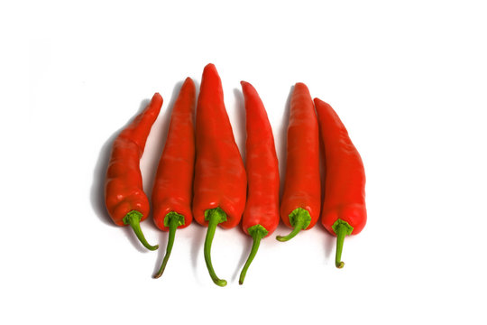 Red chillies arranged in a row isolated on white background