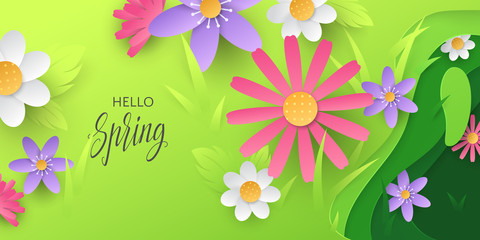 Vector vivid illustration with text Hello Spring and paper cut out flowers on layered green background. Season horizontal background with cartoon 3d chamomiles and grass with place for text.