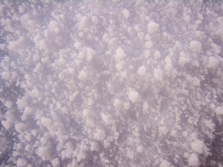 close up of snow patterns