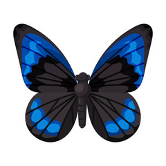 Butterfly vector icon.Cartoon vector icon isolated on white background butterfly .