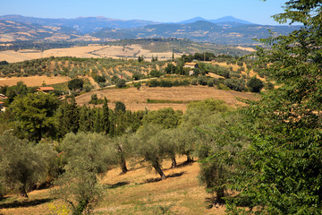 Montemerano (GR), Italy - September 11, 2017: Hills landscape and country around Montemerano...