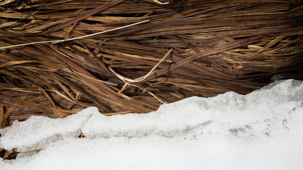 Grunge nature background. Brown dry grass and snow. Springtime.