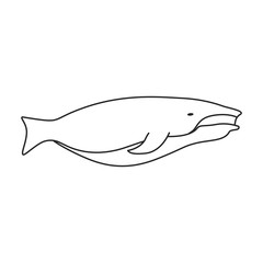 Whale vector icon.Outline vector icon isolated on white background whale.