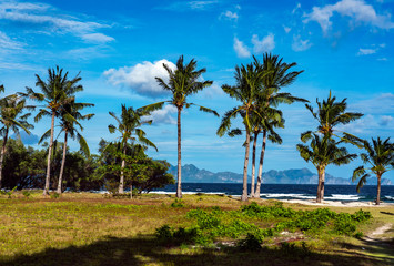 Fototapeta na wymiar Banana island in Coron, Philippines