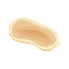 Fresh peanuts closeup. Colorful simple flat cartoon style. Isolated vector illustration.