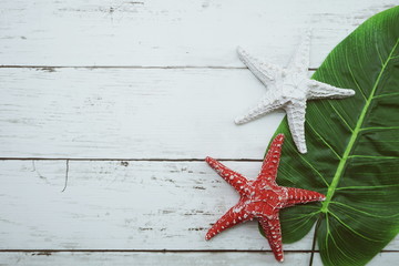 Summer Background concept with green leave and starfish decoration on wooden background