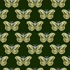 Obraz na płótnie Canvas Moths seamless pattern. Colorful insect illustration. Moths isolated on dark background.
