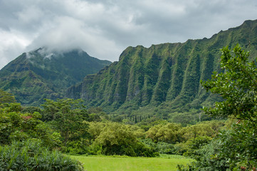Koolau Mountain Range from Hoomaluhia Botanical Garden 