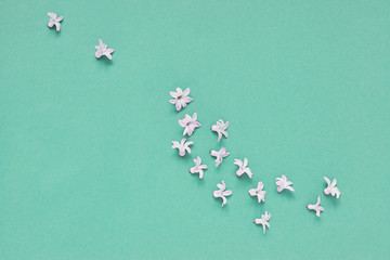 Floral background with little hyacinth flowers on light aqua background. Holiday, greetings, love, romantic minimal concept. Flat lay, top view