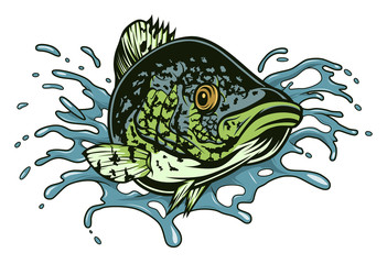 Black crappie jump out from water