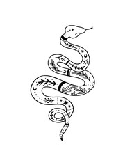 Trendy vector snake drawing in linear style with floral ornament. Black work tattoo. Linear illustration. Perfect for your brand, logotype, tattoo, card, invitation, poster, print