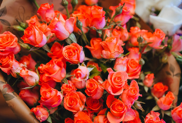 Red roses close-up. Texture, background of flowers. Photography, concept.