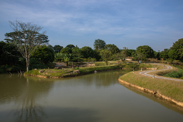 The country river reflects the trees