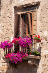 Fototapeta na wymiar Fenster mit Blumen im Frühjahr