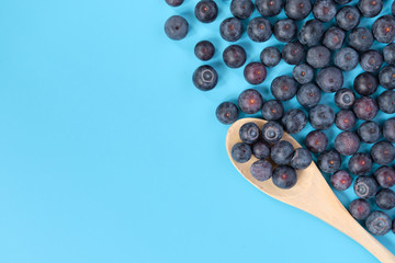 Copy space. Close up. Copy space. Blueberries on a wooden spatula.