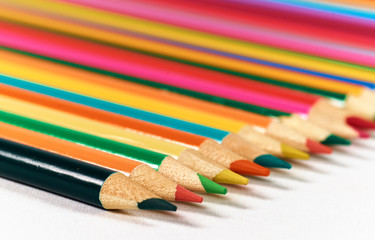 Obraz premium Color pencils lying on a white background.