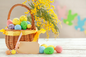 Colorful easter eggs in a basket on a white wooden background, decorated with blossom sprig of mimosa.