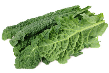 leaves of kale cabbage isolated on white background