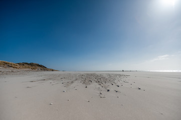 vastness of a beach