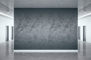 Minimalistic hall interior with blank gray wall.
