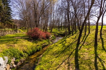 Fototapeta premium A walk along the Gurri river - Osona