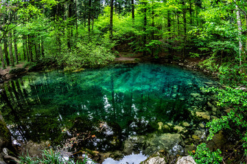 Beautiful and famous emerald colored lake Ochiul Beiului in the woods, forest of Caras Severin county, Beusnita National Park, Bozovici, Romania